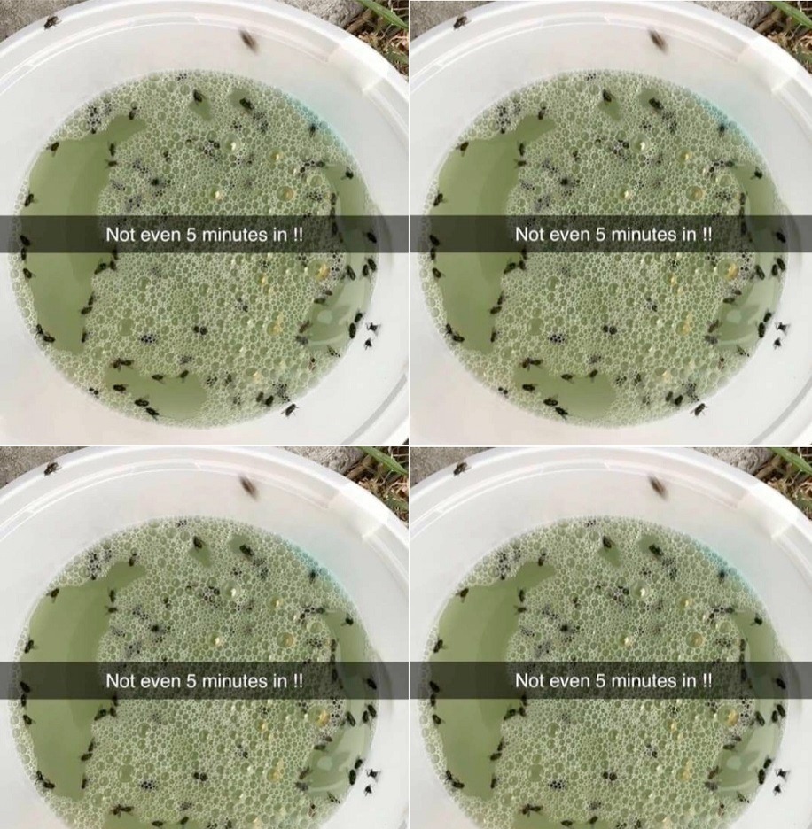 468581246 1792141304890047 818227154798884268 N