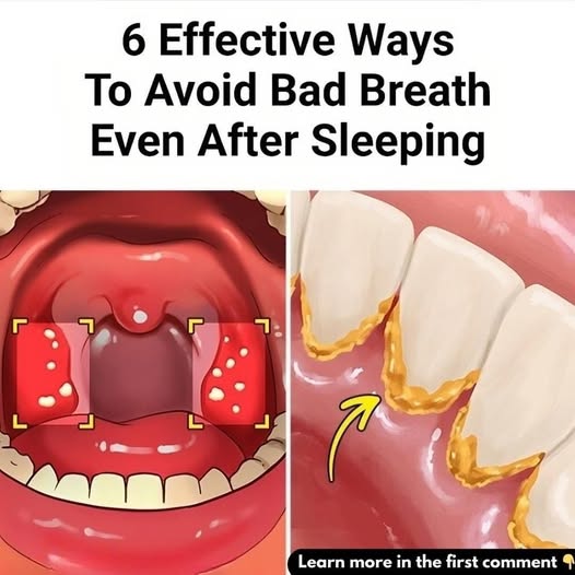 469022981 122194056446224437 4125271026852086158 N