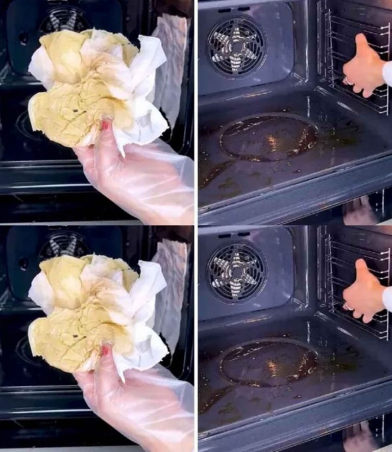 469049761 122203476626080624 1502523496752644171 N