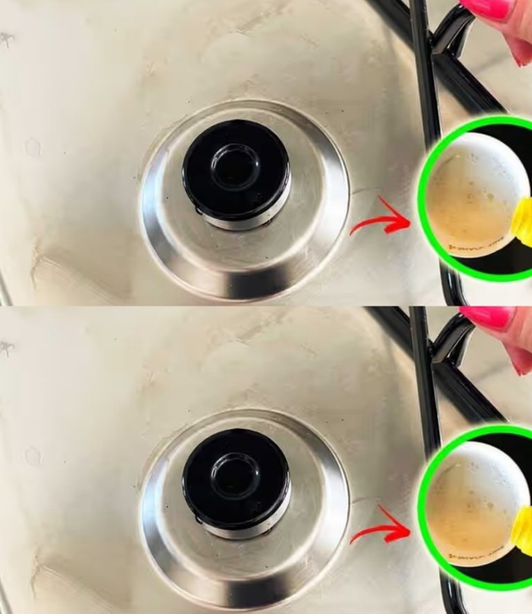 469115000 122203552508080624 607827348616616617 N