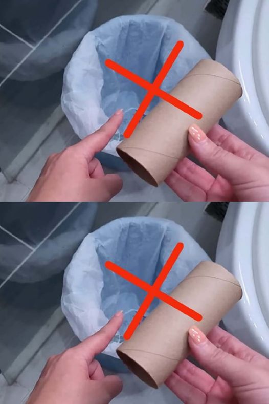 469122223 1090567962525101 6488845740018835467 N