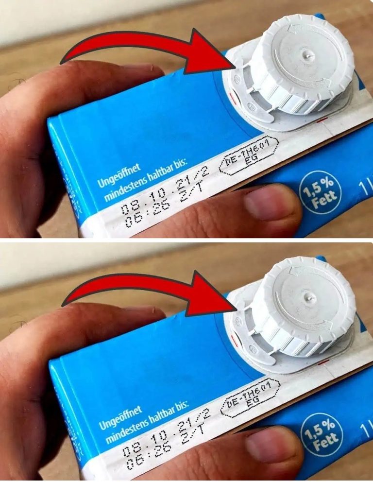 469166498 2285718881813040 4913036621885967571 N