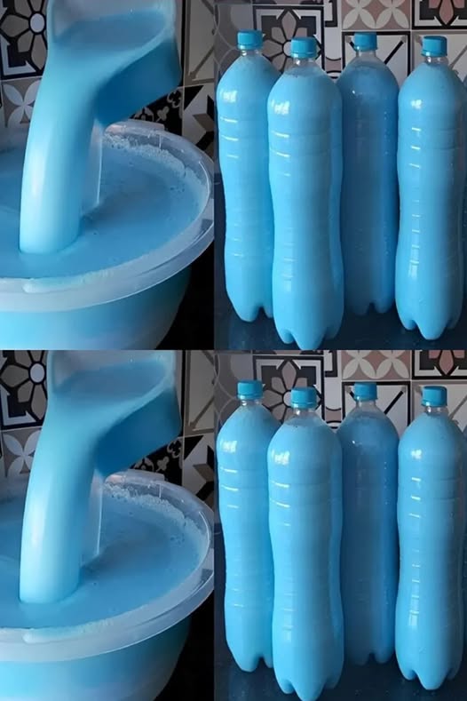 469981649 512932705118873 1947287514222421147 N