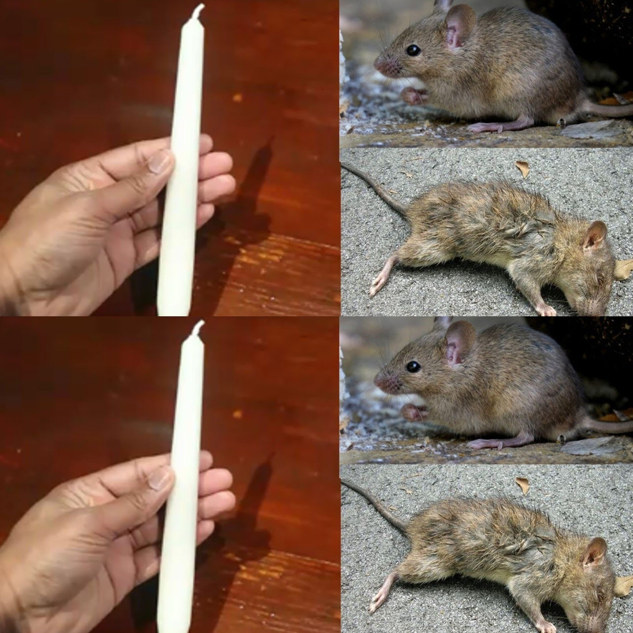 470227834 122187937928175577 7654888035851553281 N