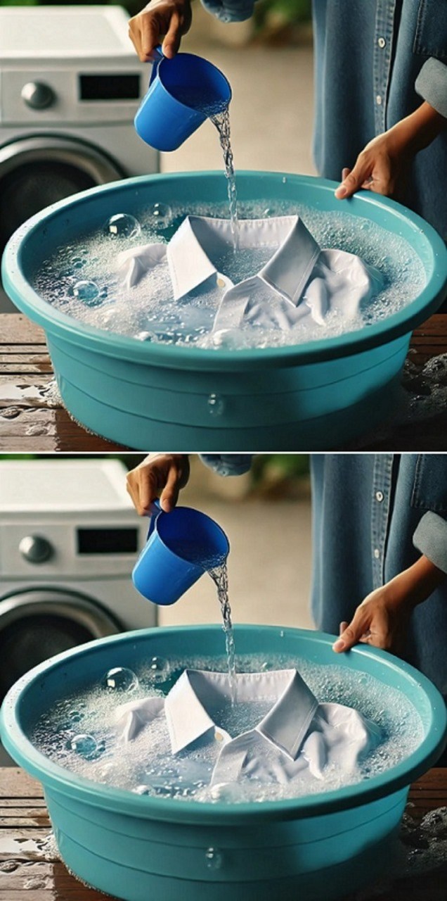 470470519 640423328309099 7394427009937163451 N