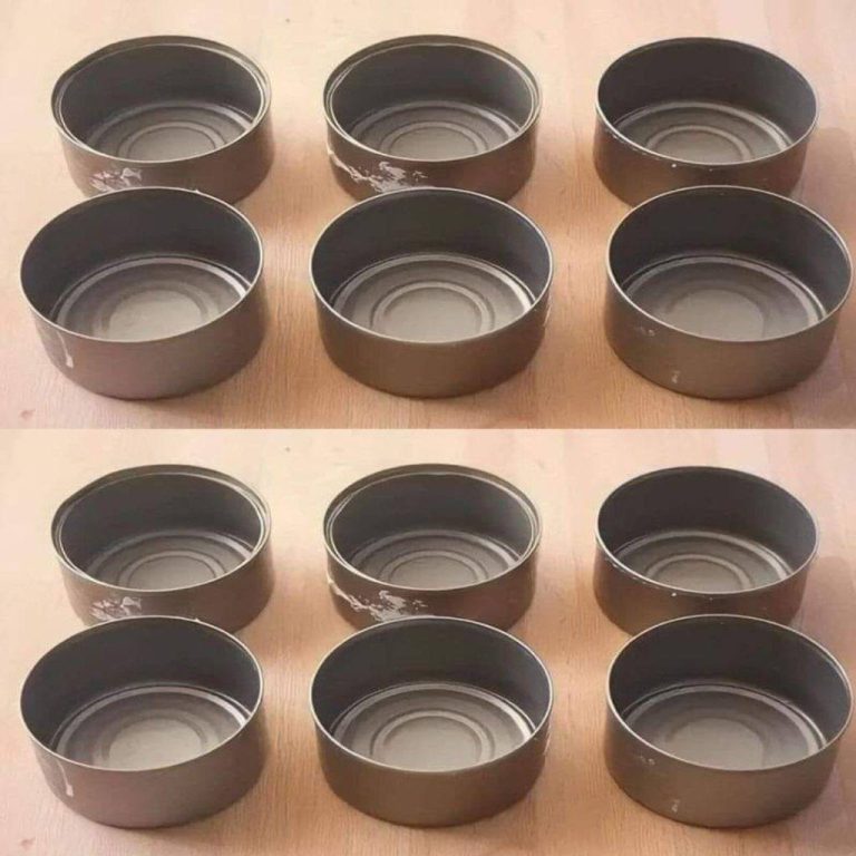 471208204 122188980368120766 4873972915384199466 N
