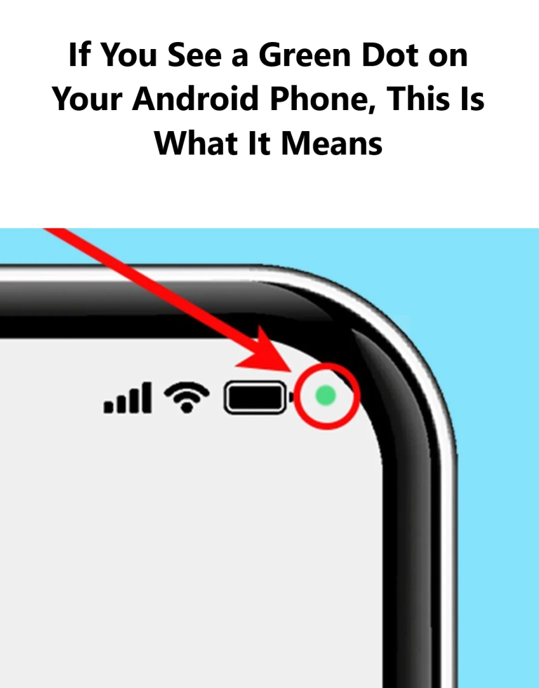 178 E1737838335530