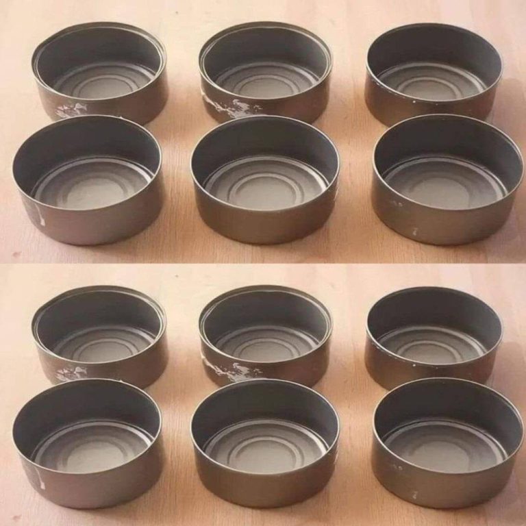 471174903 526116897133787 3414752625275902442 N