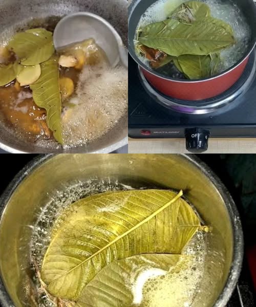 472845167 596243616692127 9139130159771783651 N