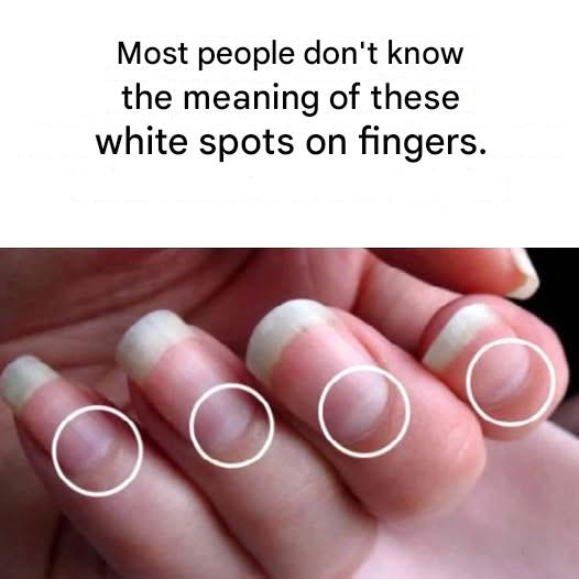 472859455 532924323119711 1107504610576059909 N