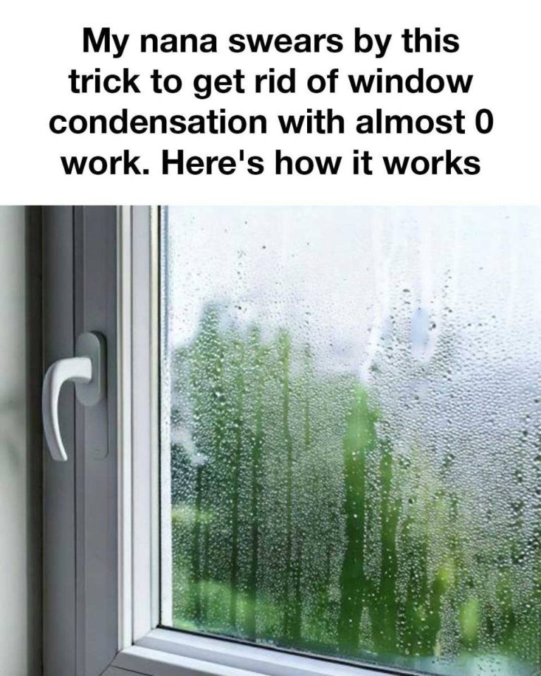 472889740 2312235989161329 1448116991909233947 N
