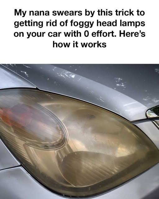 473370552 1006791747949731 2093443327046227133 N