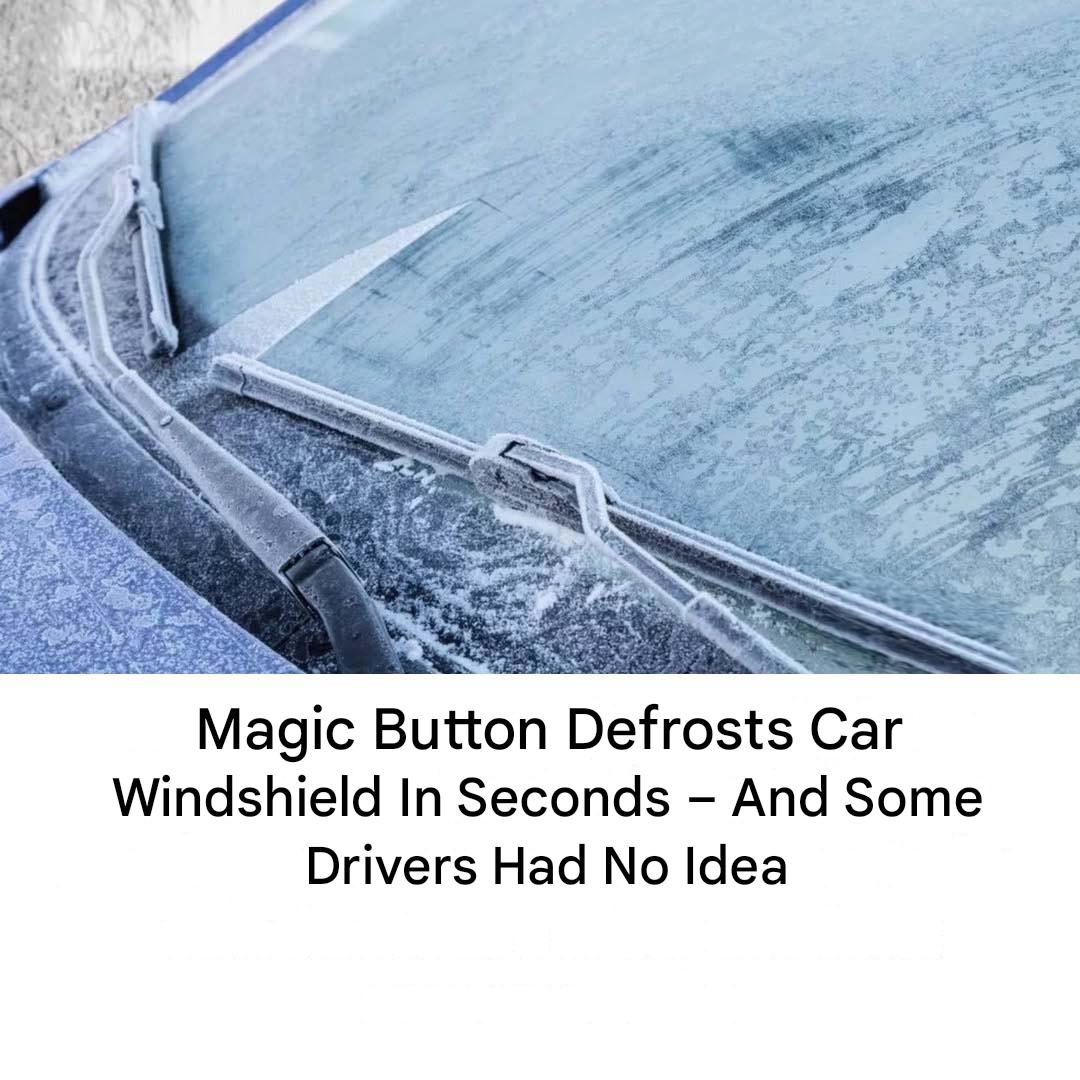 473382962 122133838802516421 5418192218809498186 N