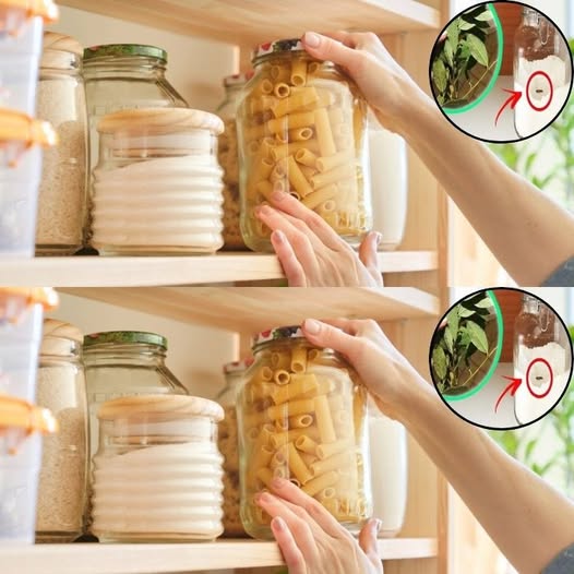 473677256 603624215954067 8874809689935870050 N