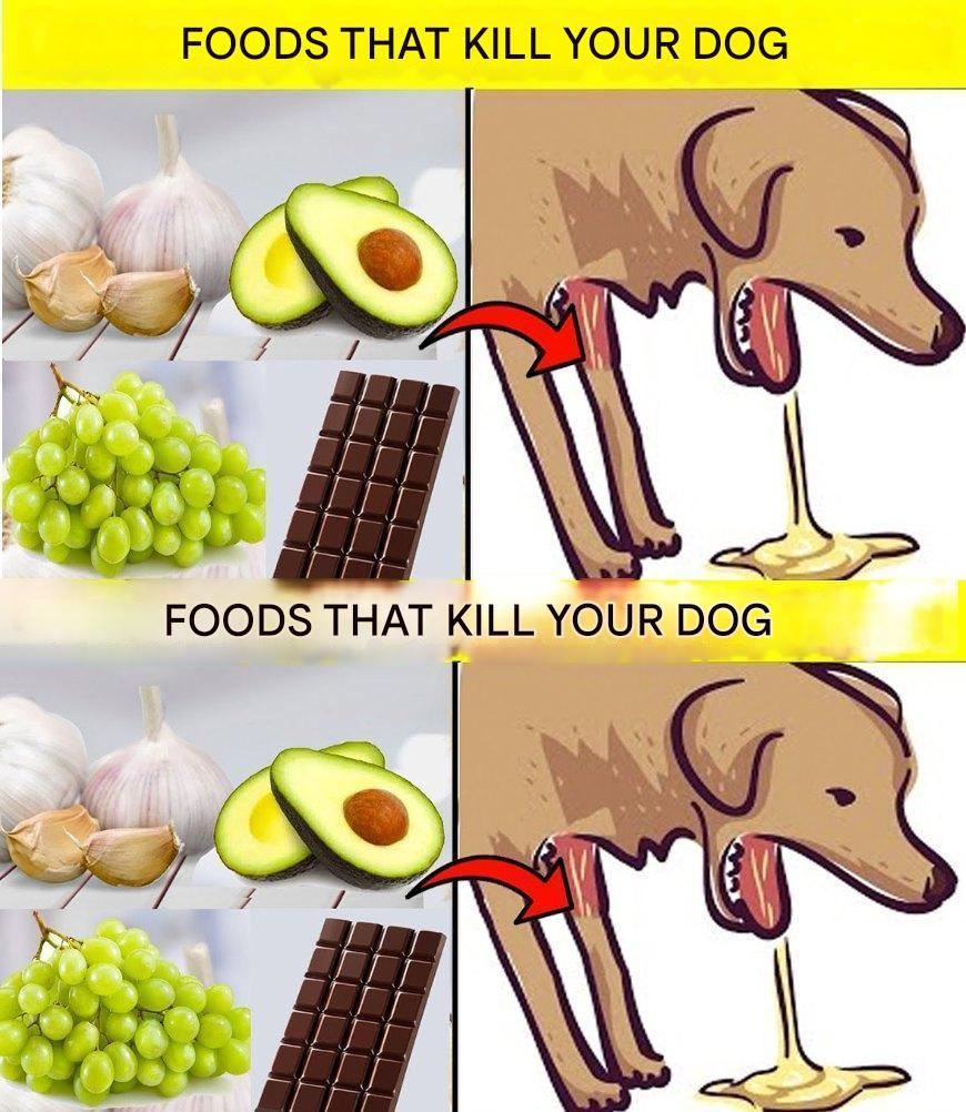 474065968 122163341072331878 6734949334002288496 N