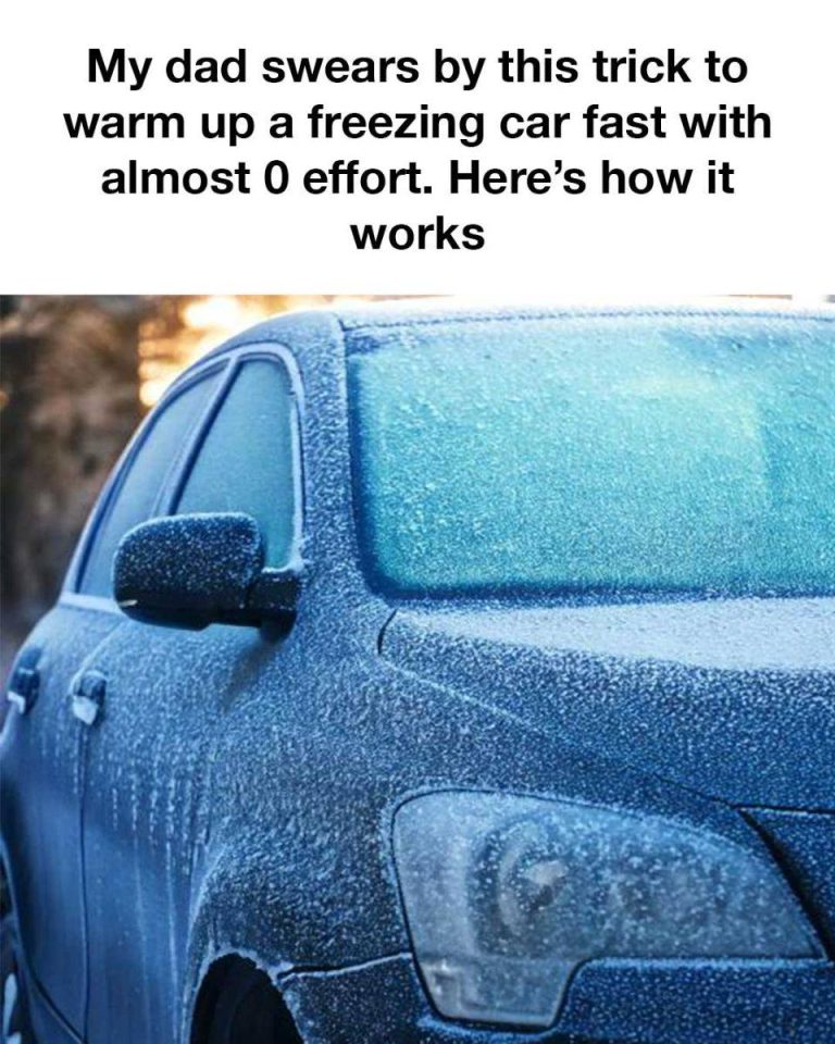 474536152 2321757834875811 2367983939028119834 N