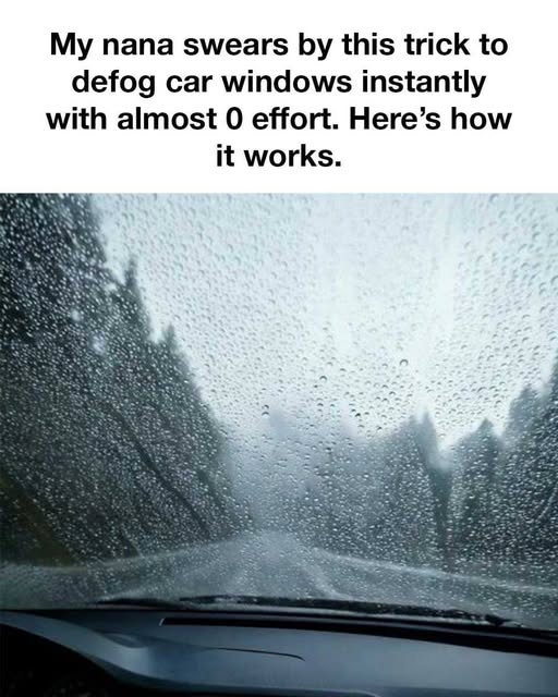 474618079 500185629775306 4055657827235264776 N