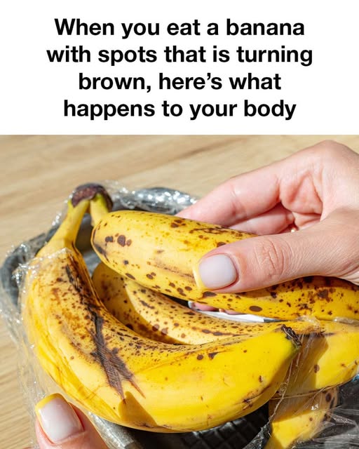 475069657 1139887257924234 7200026701747591338 N