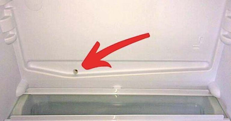A Quoi Sert Ce Trou Cache Au Fond Du Frigo