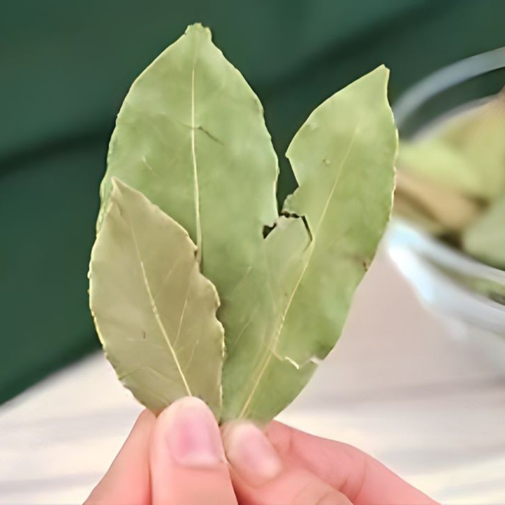 475425354 510889732038229 3981361716191550511 N