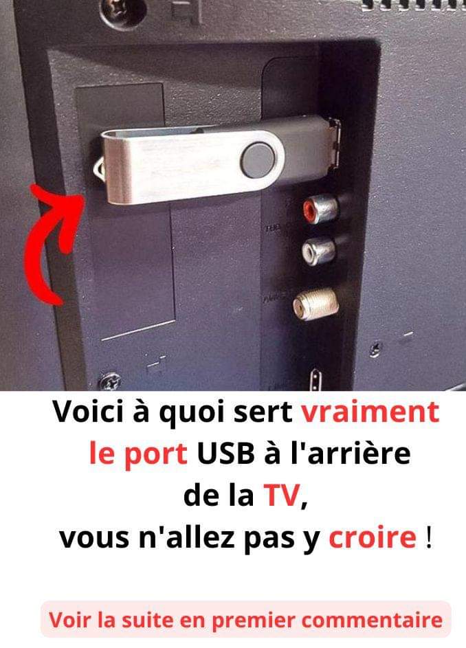 475838080 1751313198784231 300177028380260385 N