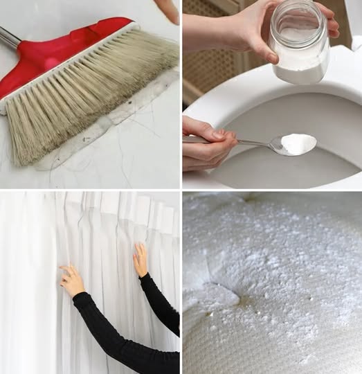 476156839 1067413135423260 1281820691264769853 N