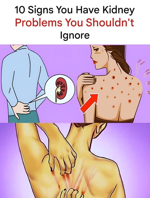 476373005 589773140484849 1606021798350820671 N