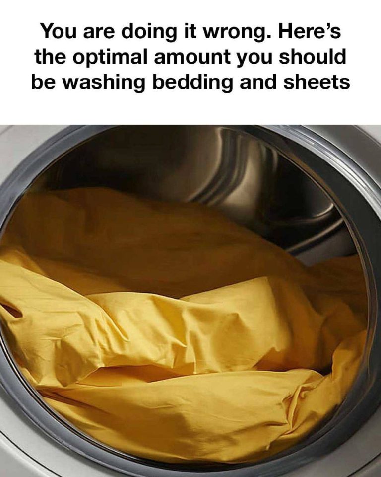 480099892 1369172931113825 5571916720347785832 N