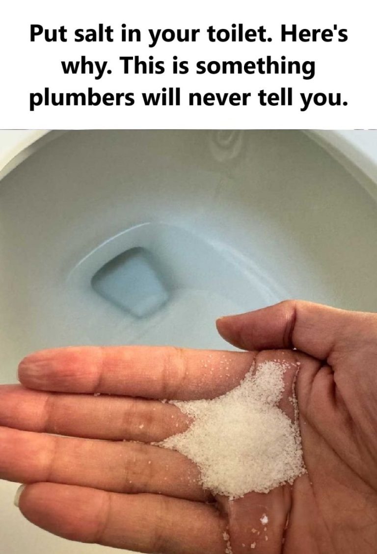 480562252 122114190014706323 1630392588922862802 N