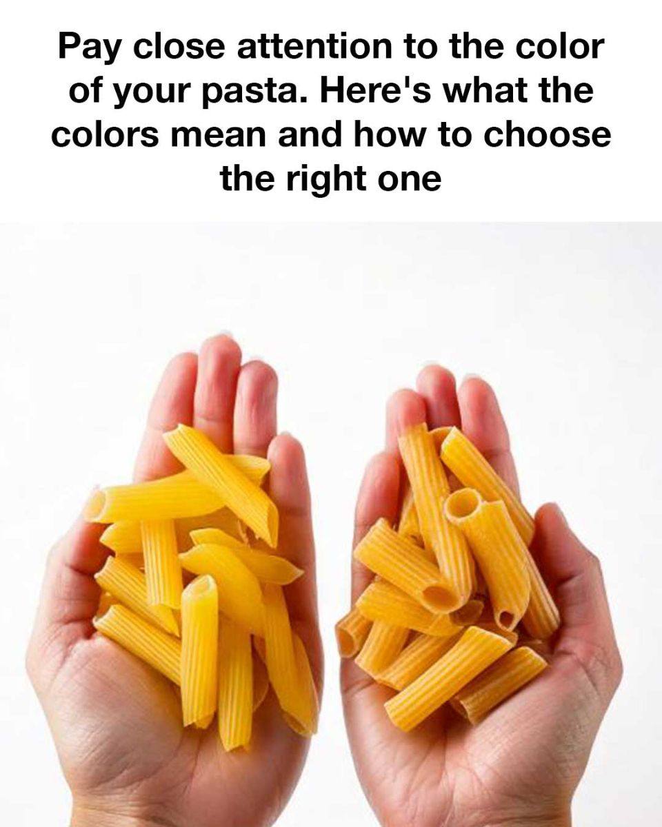 480828745 1247360966965458 8248516821781360602 N