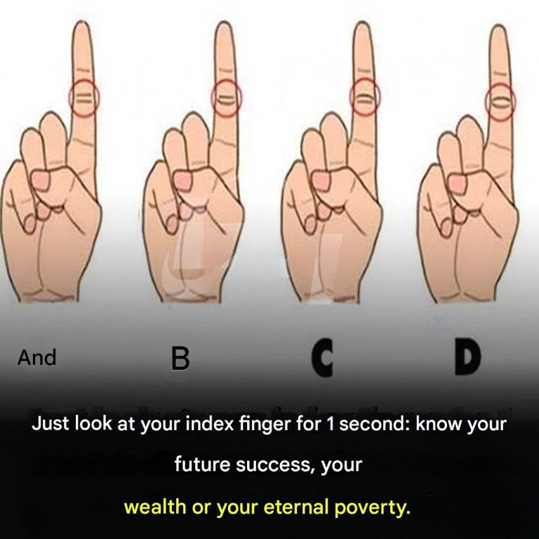 1902c9fa 8370 4c11 Ab35 5458d81cdb92(1)