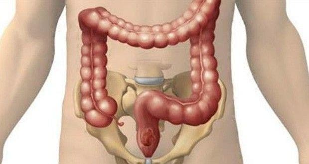 2 Puissantes Cures Detox Pour Evacuer Les Dechets Du Corps 1