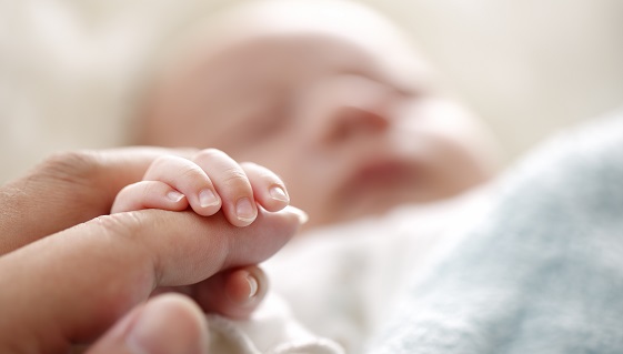 Photo Of Newborn Baby Fingers