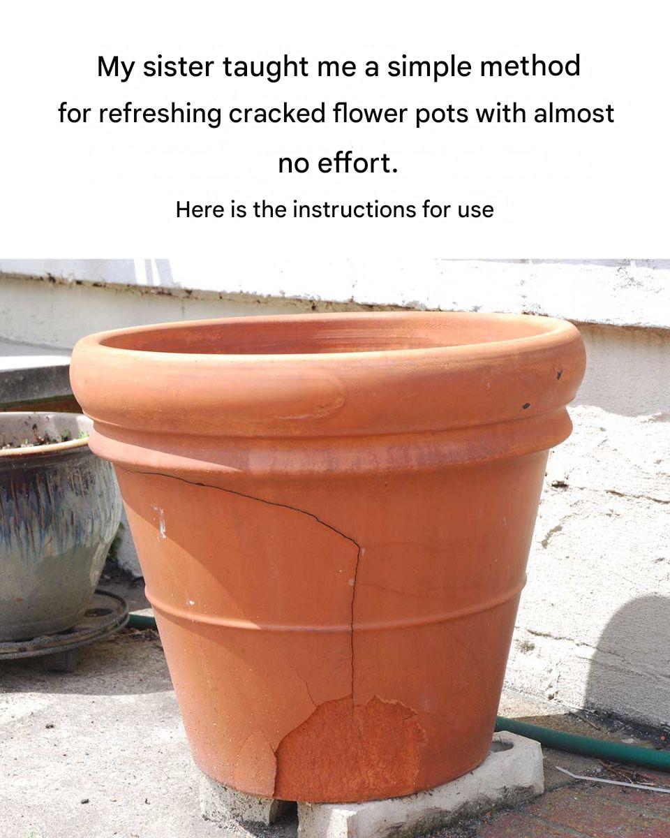 3291b530 68fa 424c 9736 B575f5fc92b8(1)