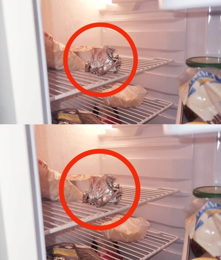 417476331 740083591598445 825018295656872705 N