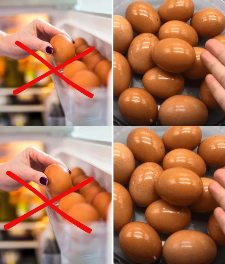 421890158 719799890293482 1295663447831700729 N