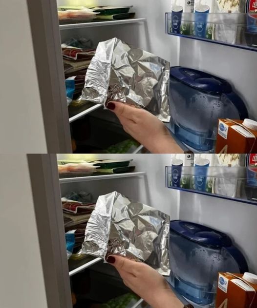 425537126 122127945572098305 2566253957556694727 N