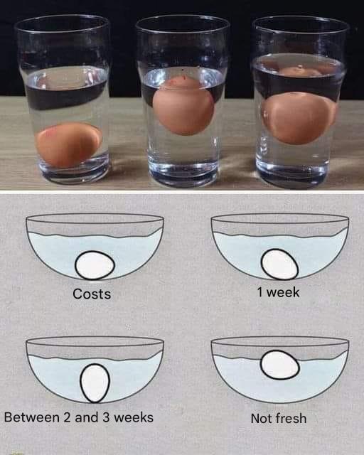 438082475 7895532257157757 8647751745013598831 N(1)