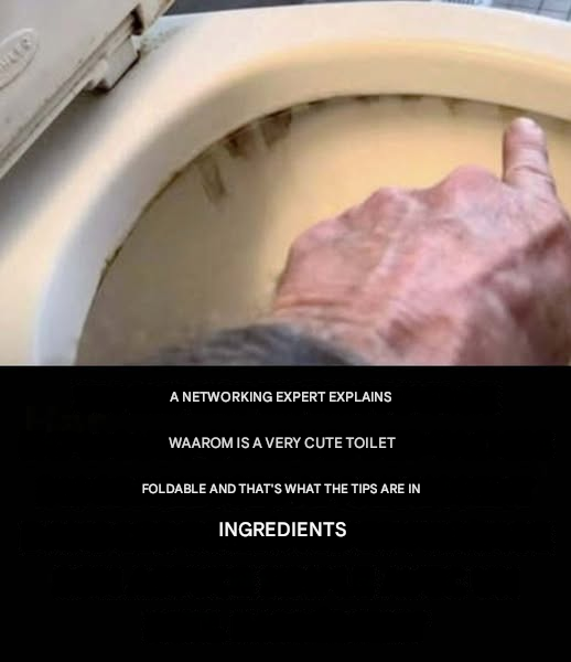 4452d8fd 3485 44d7 8d0c 9ef5c5aa75f7(1)