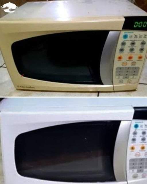 465004807 1768943497200917 7749397606475702255 N