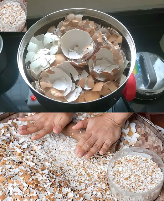 468166384 122228014010031745 4523654755887606171 N