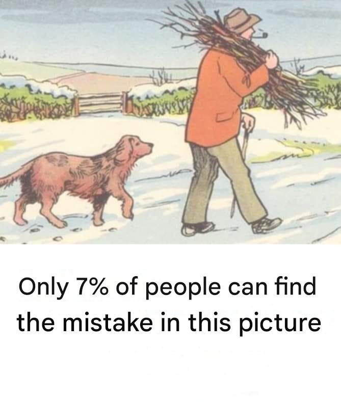 470234931 122128048082515206 4538579147588795399 N(1)
