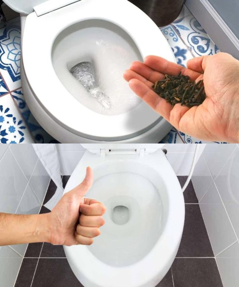 472867987 122174716544093586 3432484856096583508 N