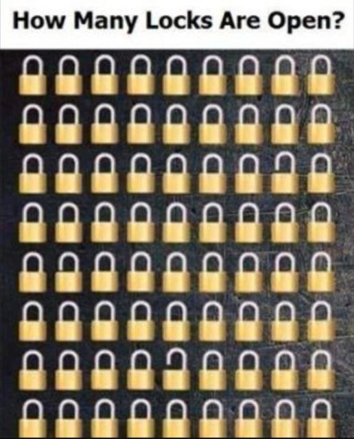 476335727 1176590014035593 1967653863441277982 N