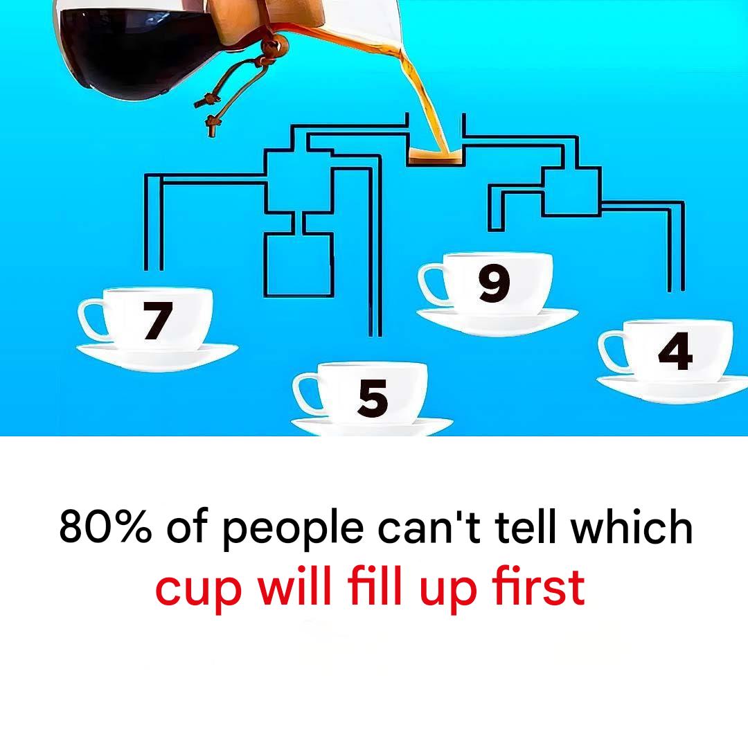 476660779 1043037581194150 4731609281115290163 N(1)