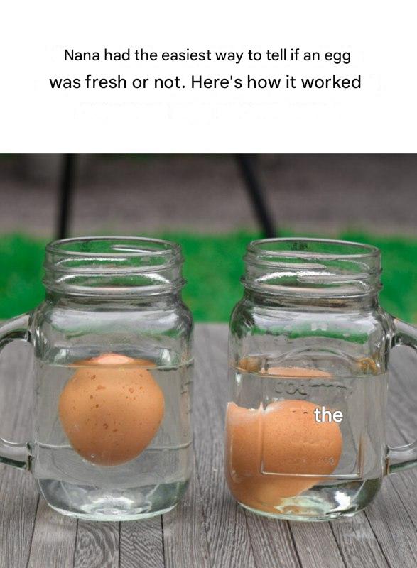 478669558 122155925078364020 7891774500414650537 N 15 1(1)