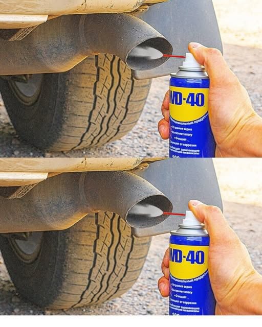 478669558 122155925078364020 7891774500414650537 N 64