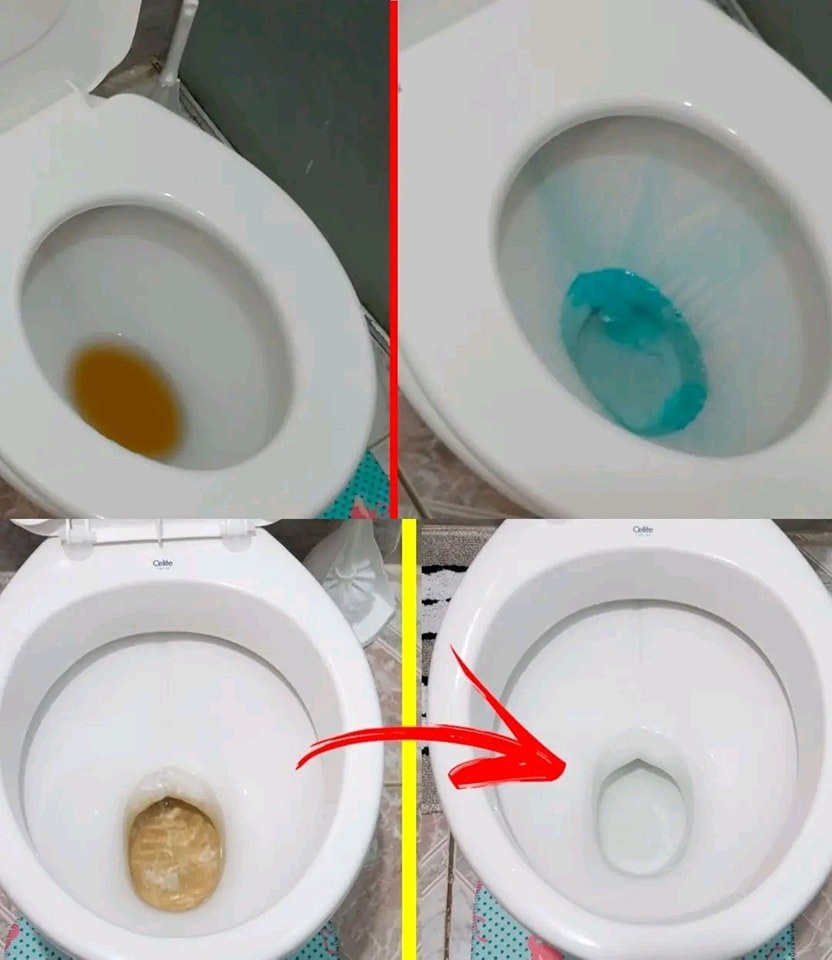 478669558 122155925078364020 7891774500414650537 N 9