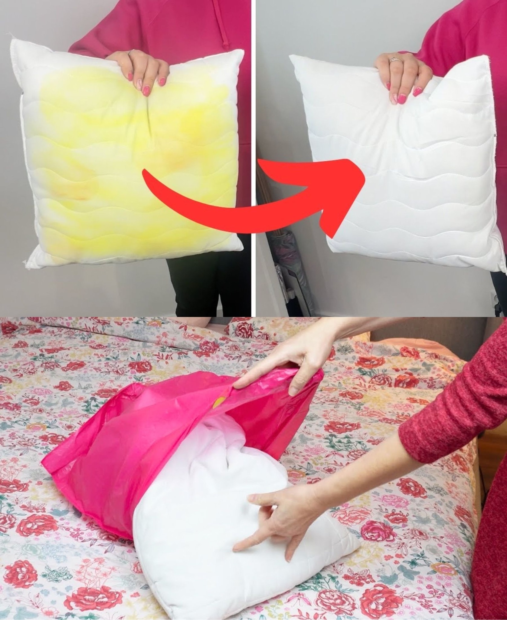 478669558 122155925078364020 7891774500414650537 N 95