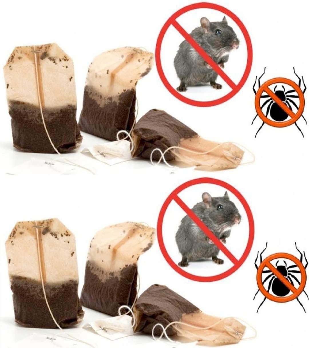 479735939 122226998372022445 4844047415037252863 N